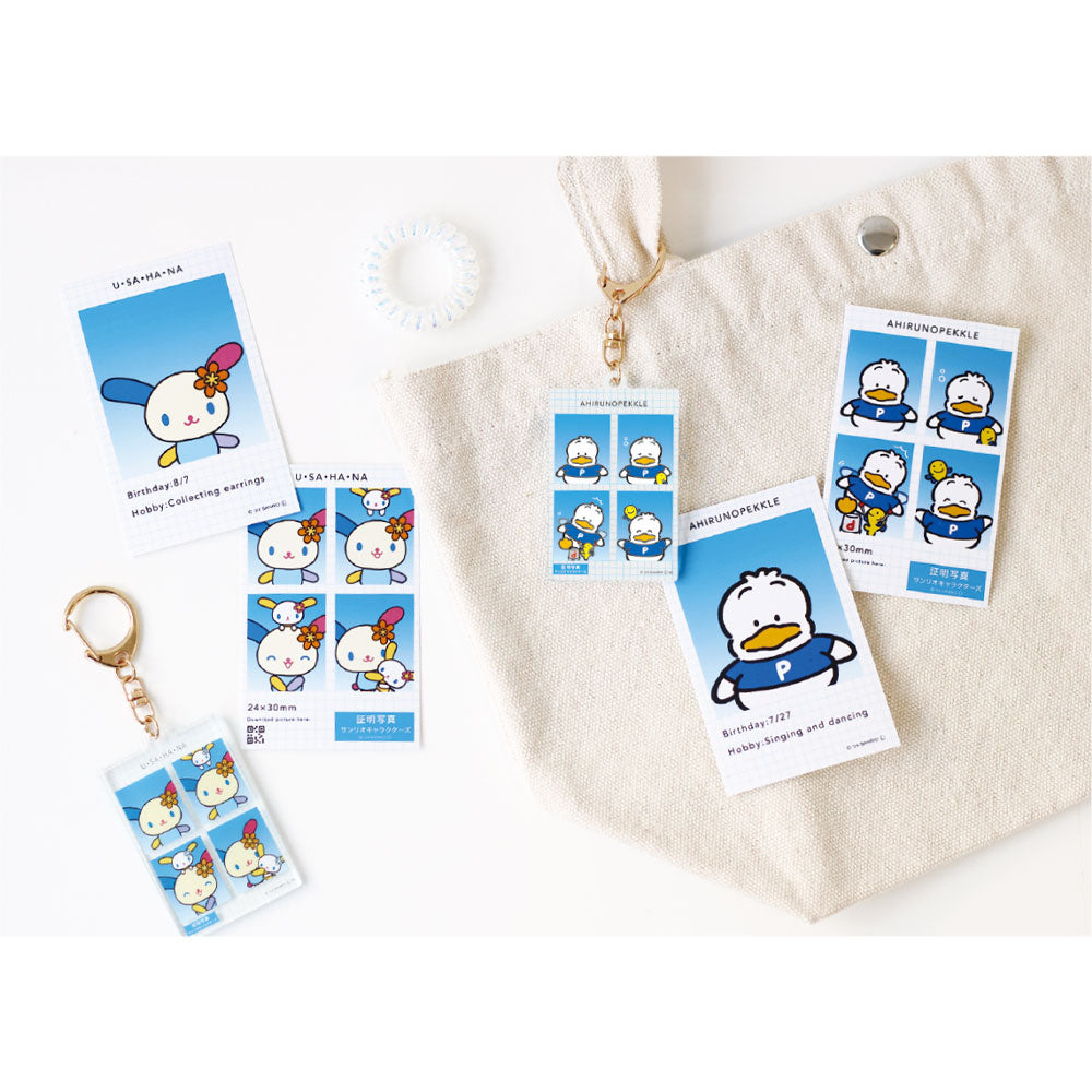 SANRIO | Secret Characters Trading Photo Style Acrylic Keychain Blind Box vol.2 H112 x W40 x D3mm