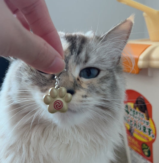For Pets Return Home Safely & Good Health