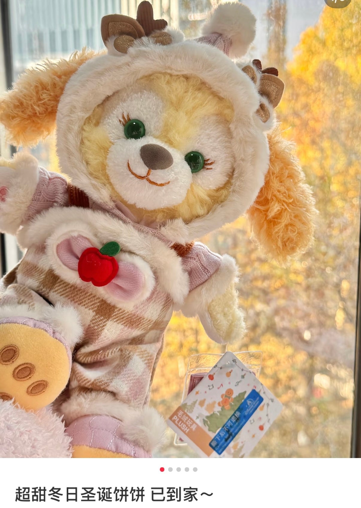DISNEY | SHANG HAI DisneyLand CookieAnn Plush Toy Doll SS (Duffy and Friends Winter Collection)