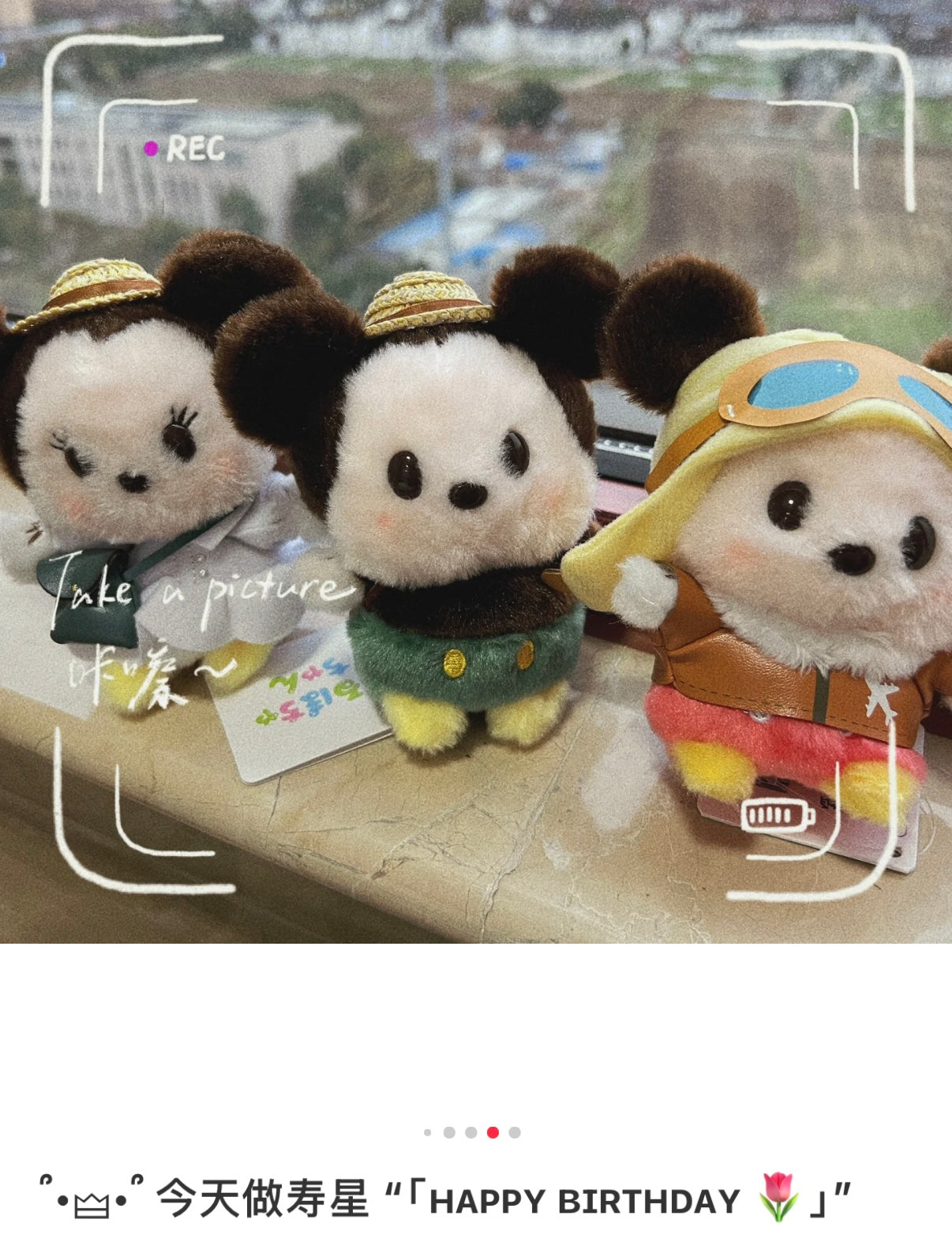 Disney | Minnie Mouse Plush Toy Urupocha-Chan Pilot 12×9×8Cm (Haneda Airport Limited Collection)