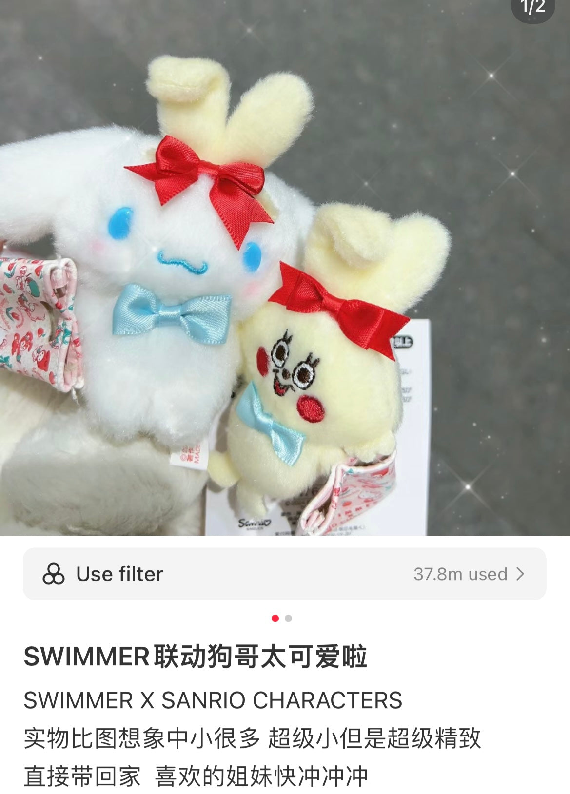 Swimmer X Sanrio | Mascot Holder Keychain 10.5×4.5×11Cm 日本三丽鸥