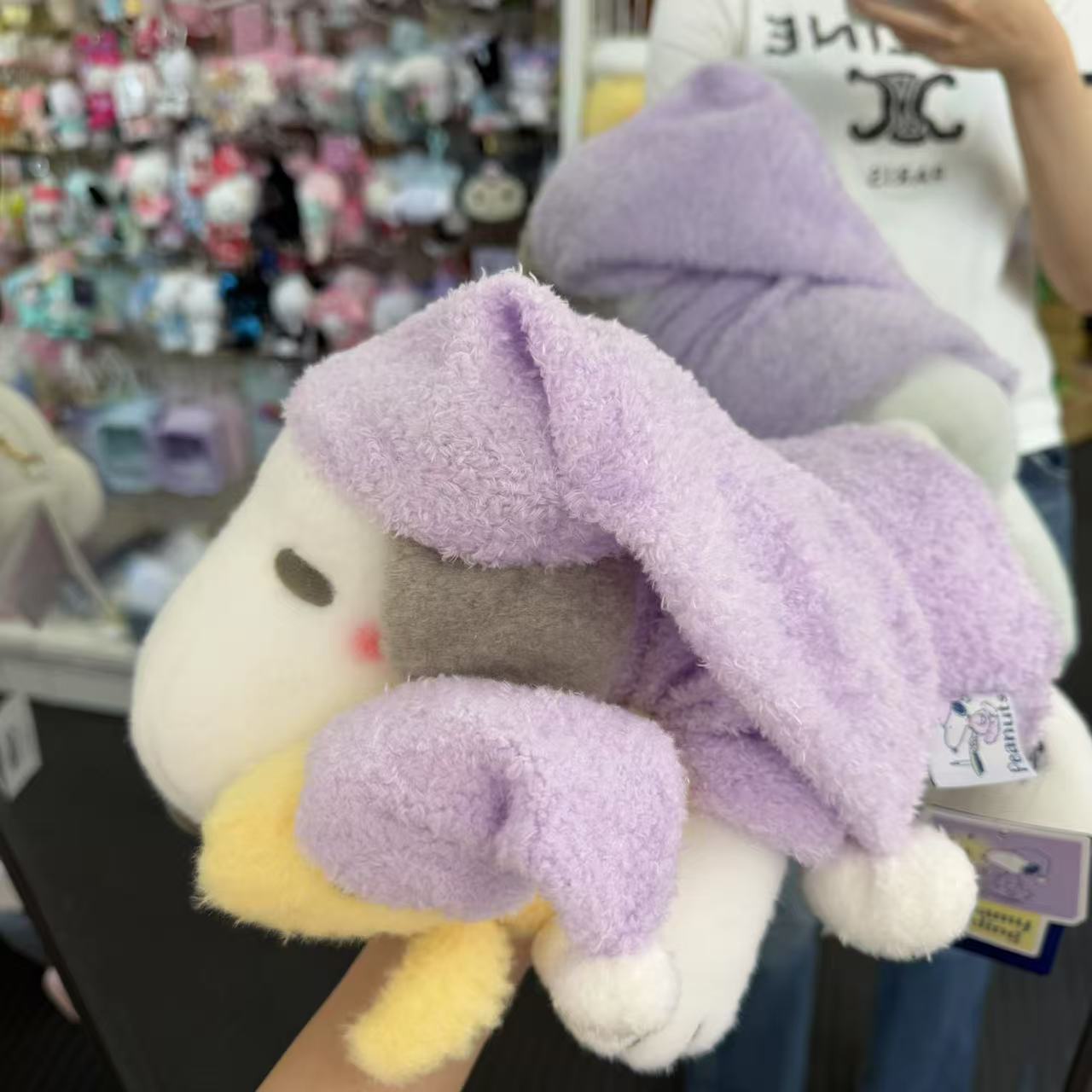 Usj|Peanuts Snoopy With Woodstock Plush Toy L (Pyjama)