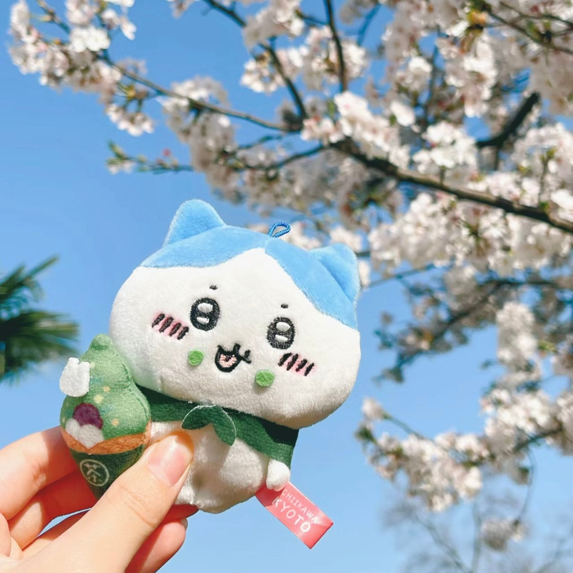 Chiikawa | Limited Plush Mascot 10Cm 小可爱吉伊卡哇 地域限定 京都八桥 抹茶系列 毛绒玩偶挂件/包挂 Hachiware 八字喵/小八/小蓝