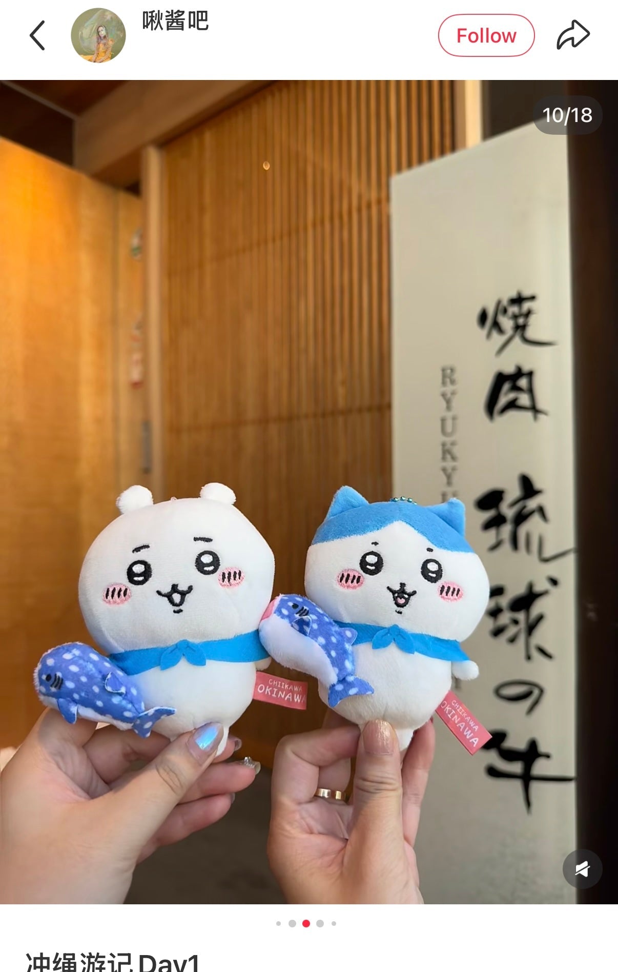 CHIIKAWA | Chiikawa Mascot Holder Plush Keychain Bag Charm 10cm Approx. (Okinawa Limited)