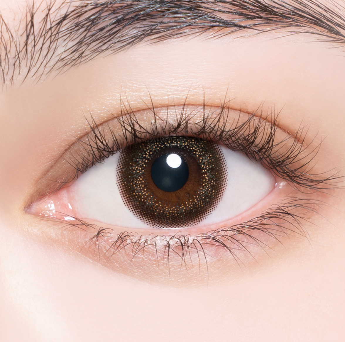 Enviecolor Contacts 1 Day 30 Pieces Olive Brown Dia14.0Mm Bc8.6Mm