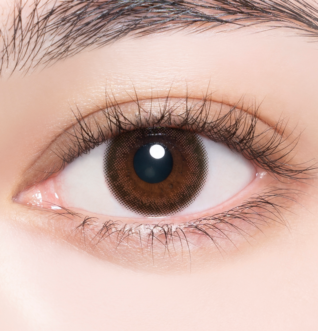 Enviecolor Contacts 1 Day 30 Pieces Plum Black Dia14.0Mm Bc8.6Mm