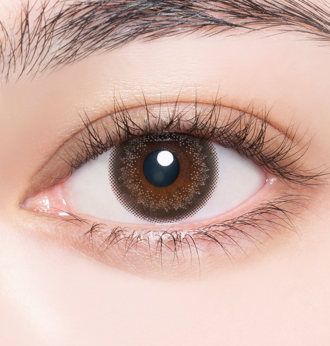 Enviecolor Contacts 1 Day 30 Pieces Shade Brown Dia14.0Mm Bc8.6Mm