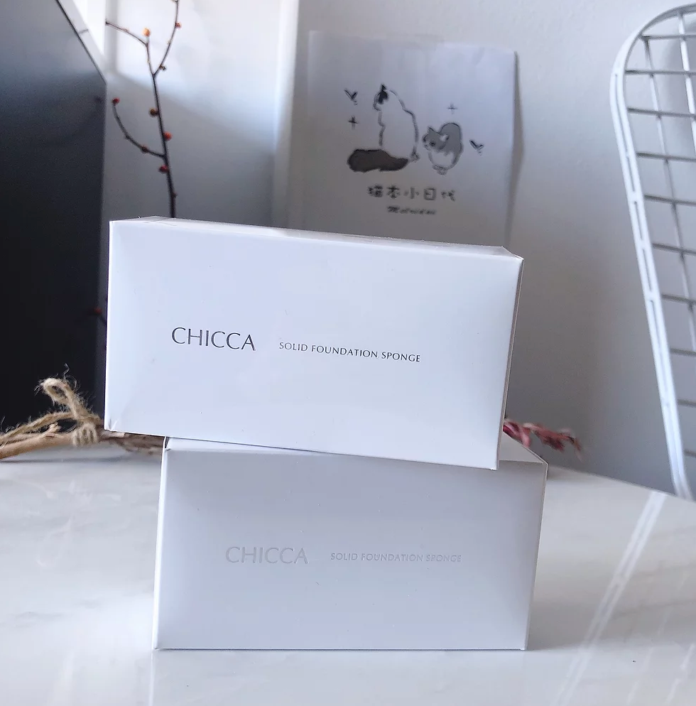 Chiccasolid Foundation Sponge 2Pcs