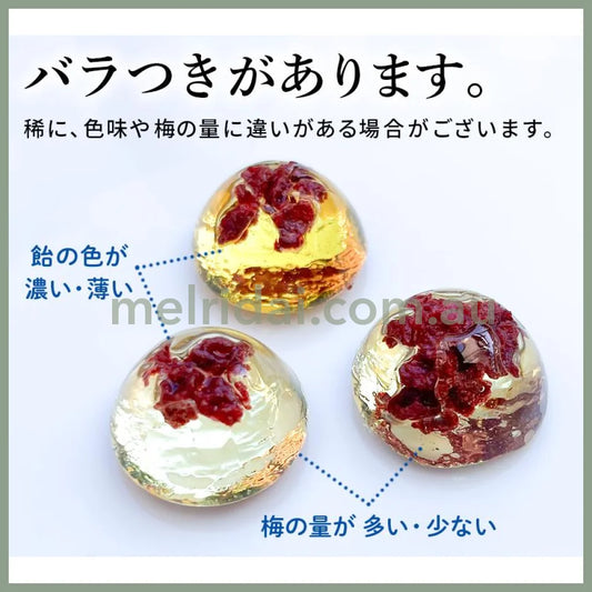 UMEYOSHI | Bekkoame Candy With Nanko Plum 120g