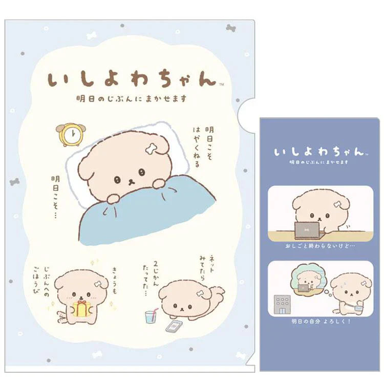 San-X | Plastic Document Holder Set/File & Ticket (A Set Of An A4 Clear Folder And A Smaller