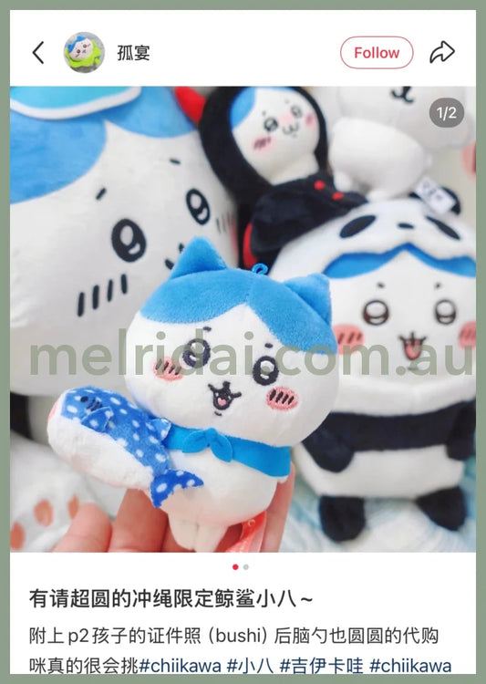 CHIIKAWA | Hachiware Mascot Holder Plush Keychain Bag Charm 10cm Approx. (Okinawa Limited)