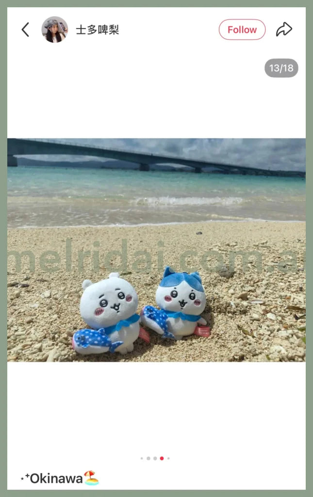 CHIIKAWA | Hachiware Mascot Holder Plush Keychain Bag Charm 10cm Approx. (Okinawa Limited)