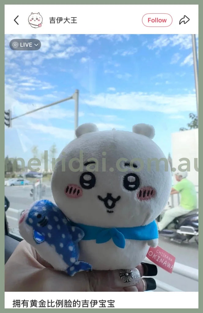 CHIIKAWA | Chiikawa Mascot Holder Plush Keychain Bag Charm 10cm Approx. (Okinawa Limited)