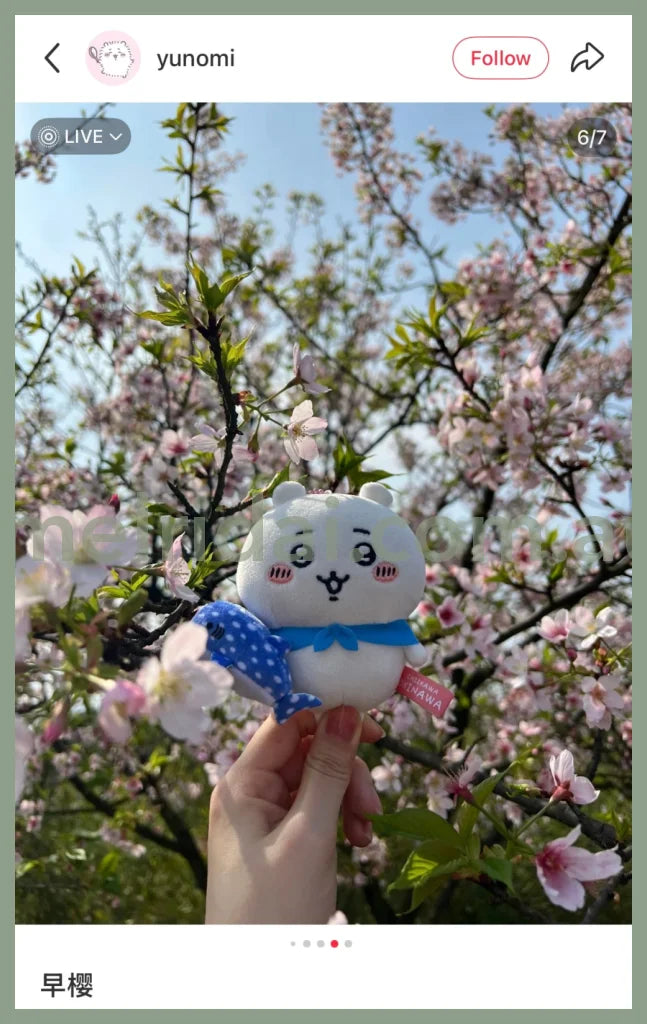CHIIKAWA | Chiikawa Mascot Holder Plush Keychain Bag Charm 10cm Approx. (Okinawa Limited)