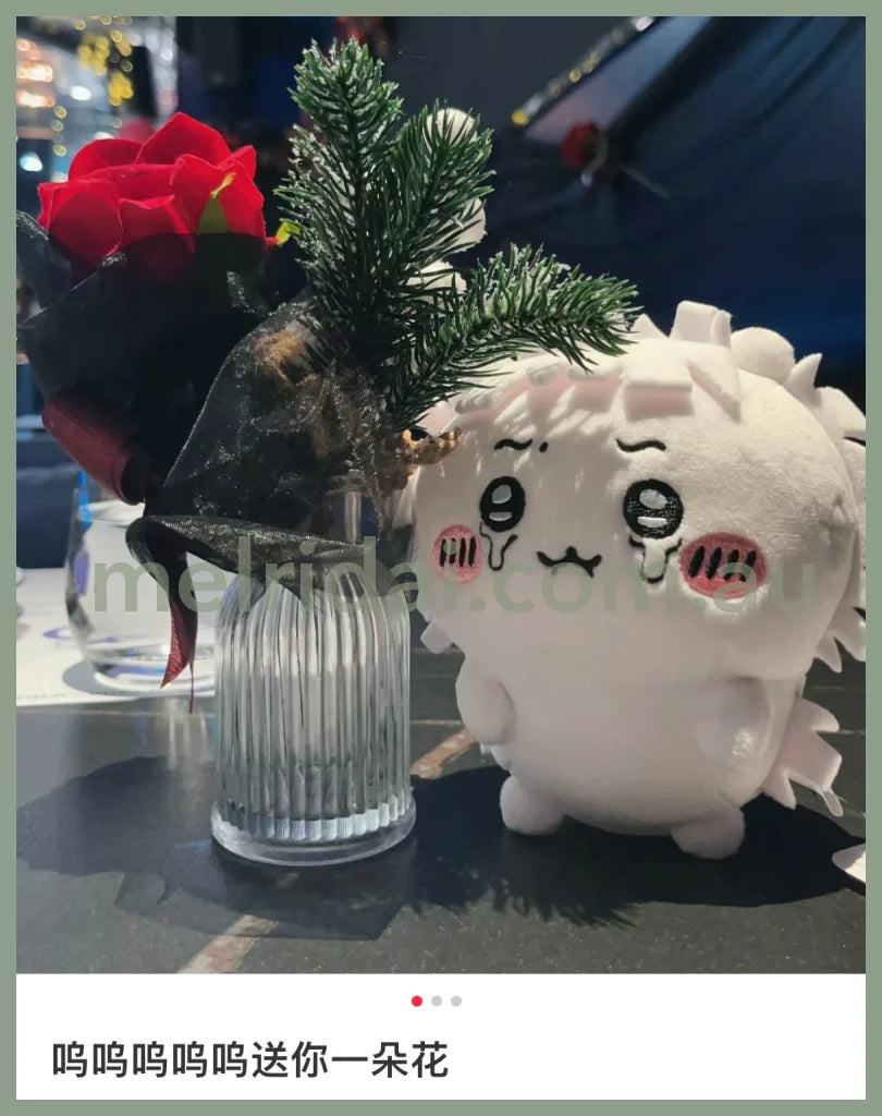 Chiikawa | Plush Doll H160×W150×D100Mm (Cropped Hair) 吉伊卡哇 毛绒玩偶/公仔(炸毛吉伊)