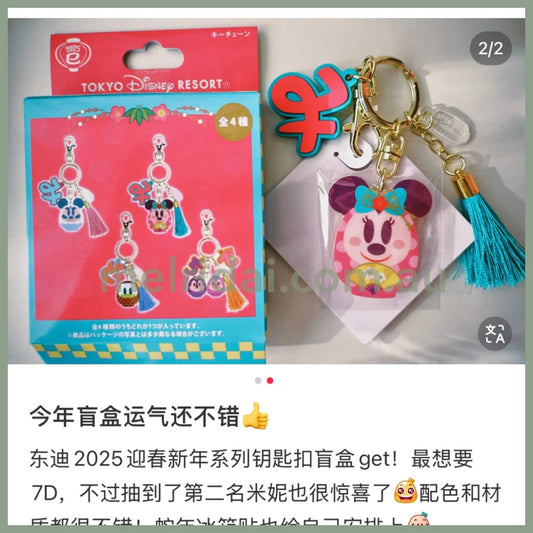 DISNEY | 2025 Lucky Charm Keychain Blind Box
