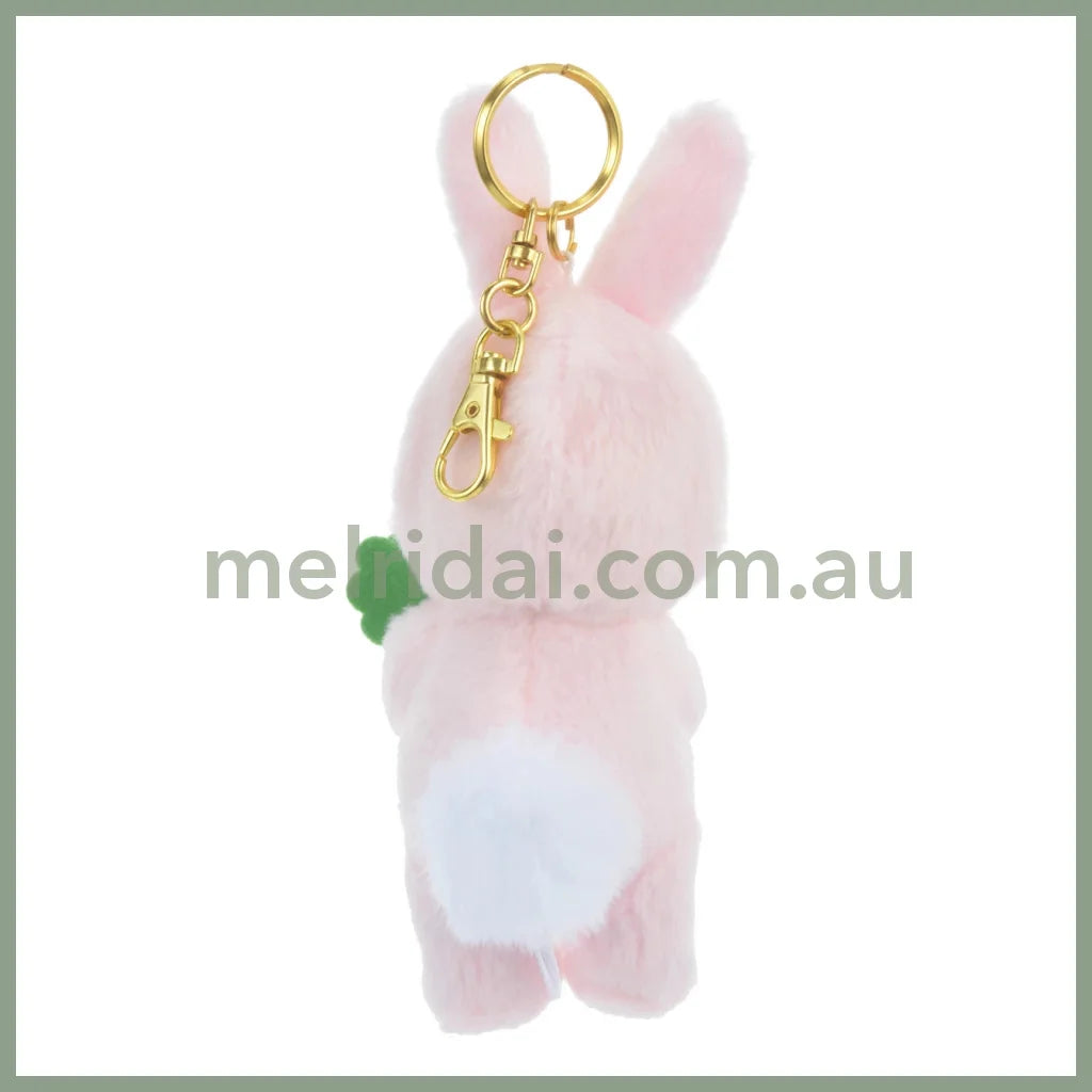 Disneyrabbit Eto Pooh 2023 Plush Keychain