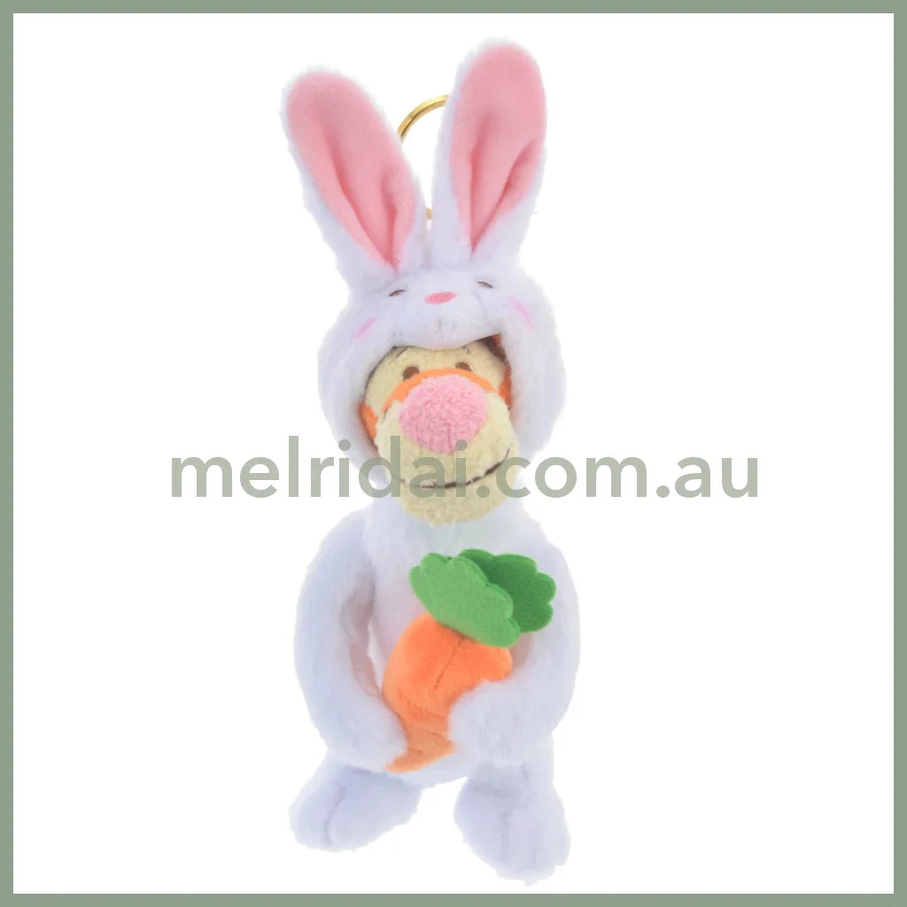 Disneyrabbit Eto Pooh 2023 Plush Keychain Tigger