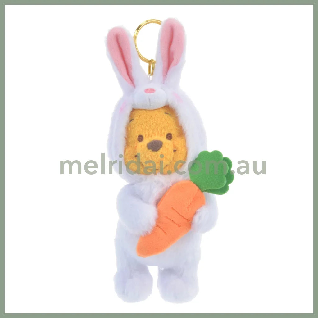 Disneyrabbit Eto Pooh 2023 Plush Keychain Winnie The
