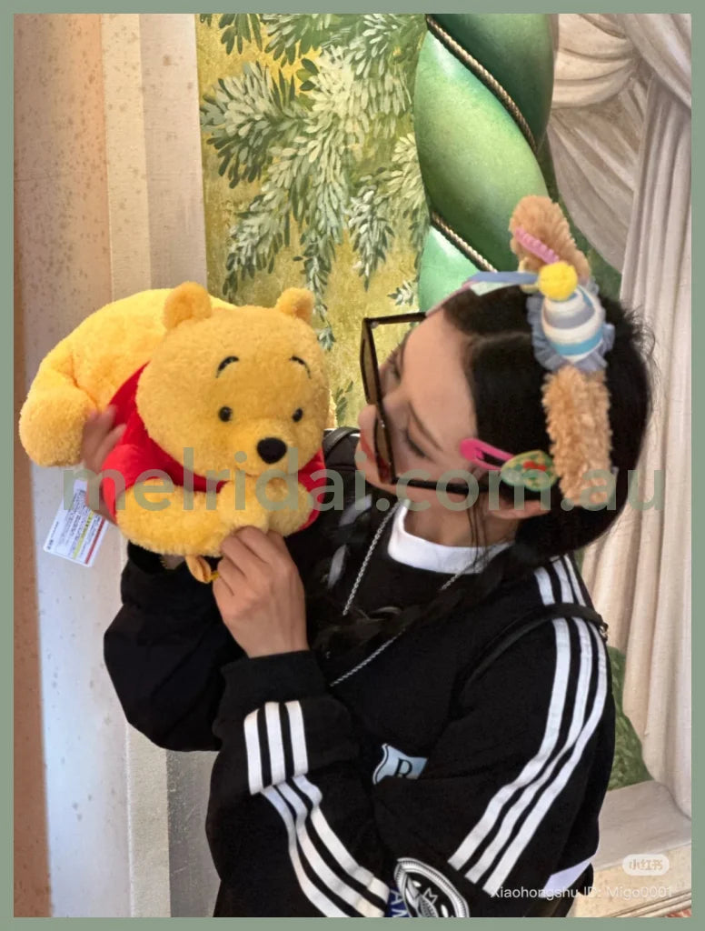 DISNEY | Tokyo Disney Land Winnie the Pooh Plush Tissue Box Cover