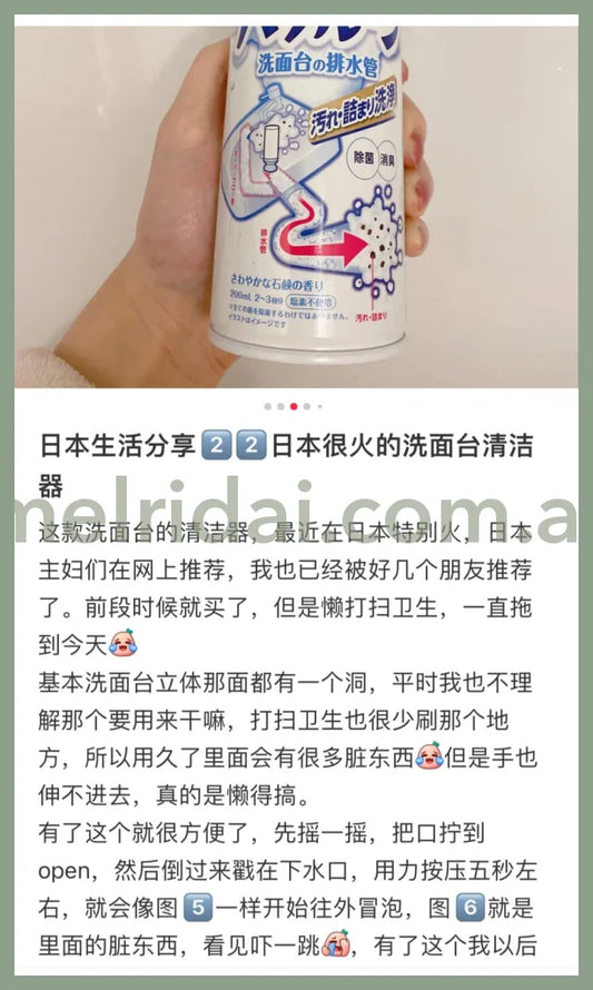 Earthfoaming Cleaner For Drain Of Sink //// 200Ml