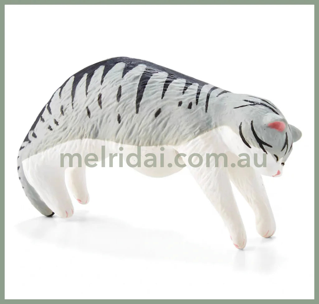 Felissiomo