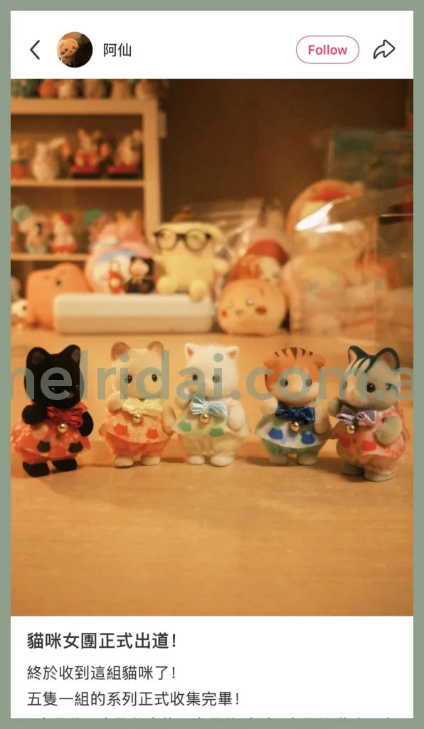 【JP】Sylvanian Families | Atsumare! Baby Set Cats