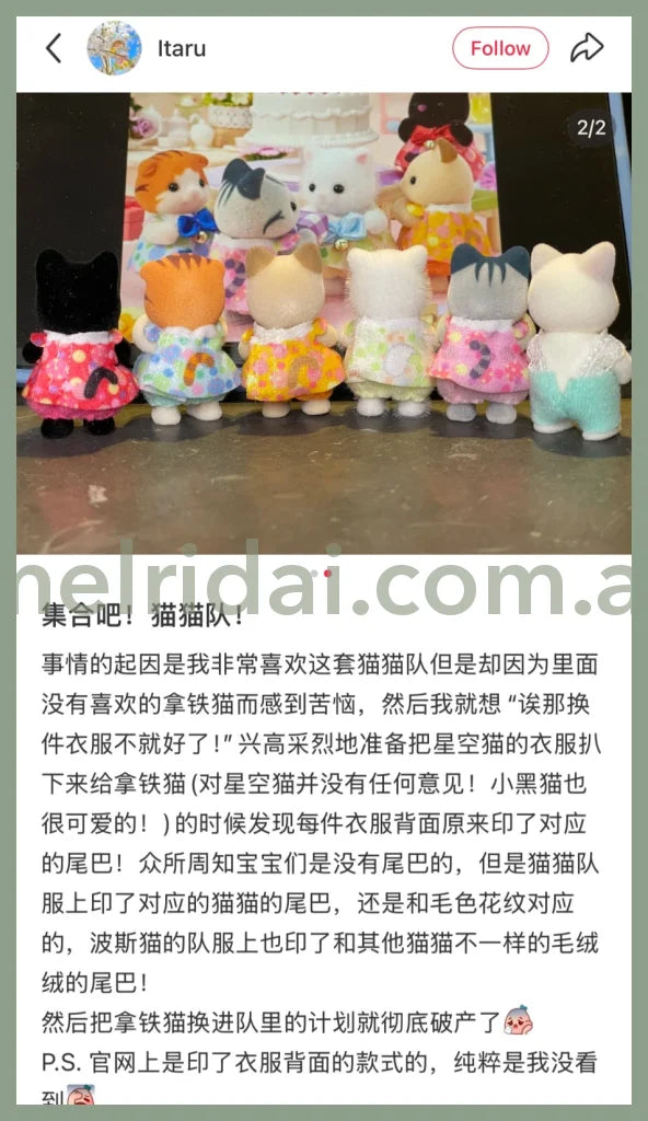 【JP】Sylvanian Families | Atsumare! Baby Set Cats