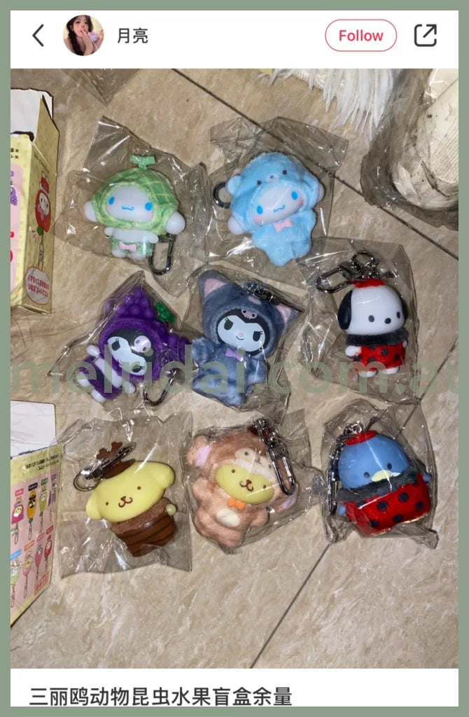 Sanrio | Secret Keychain Blind Box (Pink)