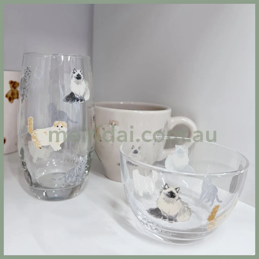 Made In Japangelato Pique | Cats Lovers Mugs/Bowl/Glass //