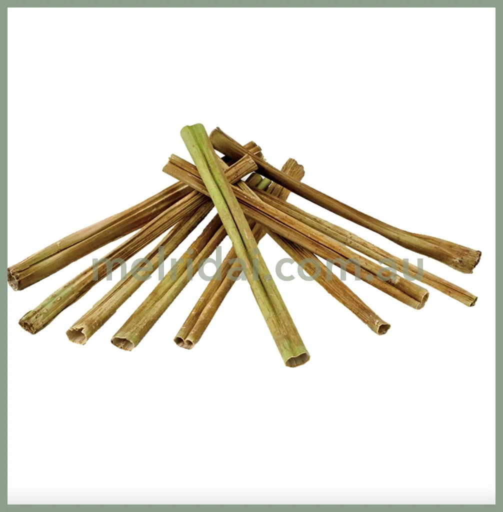 Marukanpapaya Tree Twigs For Small Animals 10