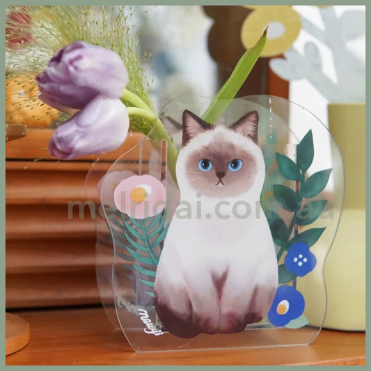 Mewji Cat Acrylic Vase Pen Stand (Bg) /