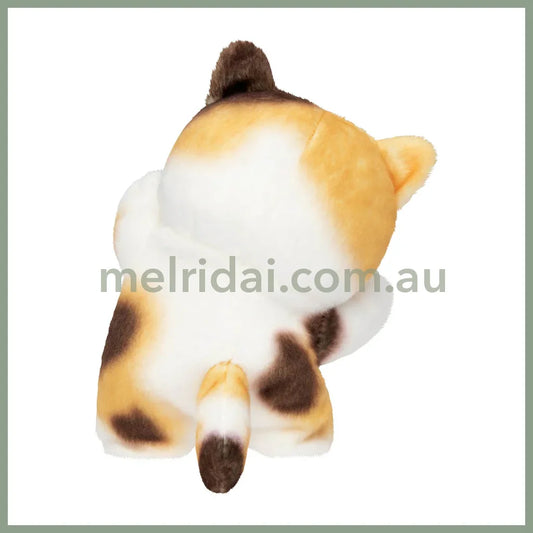 MOFUSAND | Calico Standing Plush Toy Plush Doll 175×120×100mm (Hyokkori! Tachimasu Nyan)