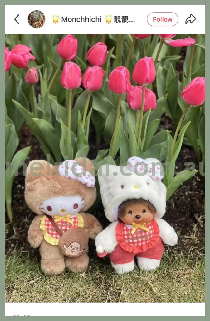 Monchhichi x Hello Kitty | Sekiguchi Plush Doll Toy H20×W12×D10cm (Special Collab 2nd Edition/Limited Edition)
