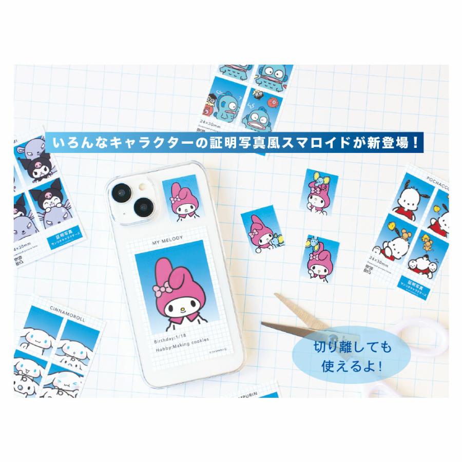 SANRIO | Secret ID Photo Blind Box H89 x W55mm (Two Per Bag)