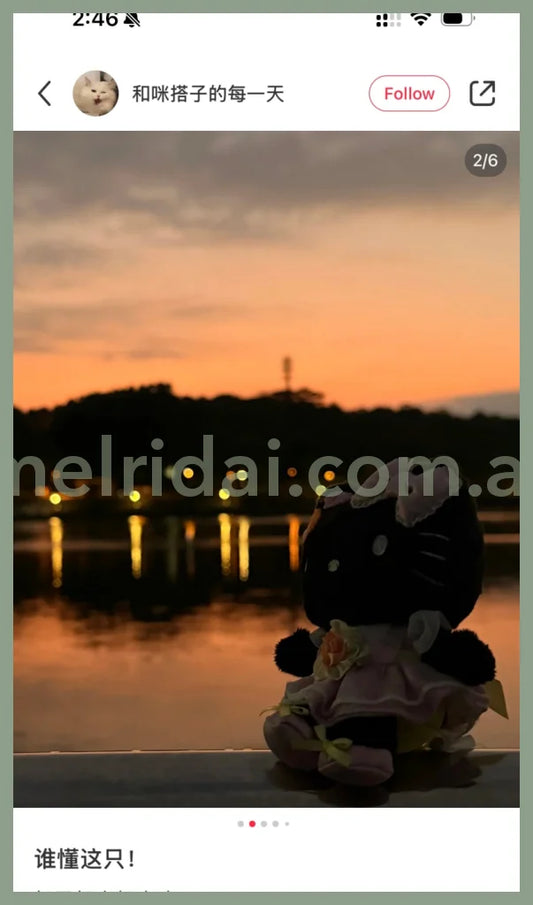 SANRIO | Black Hello Kitty Mascot Holder Plush Keychain with Heart Carabiner (50th Anniversary LimitedFlower)