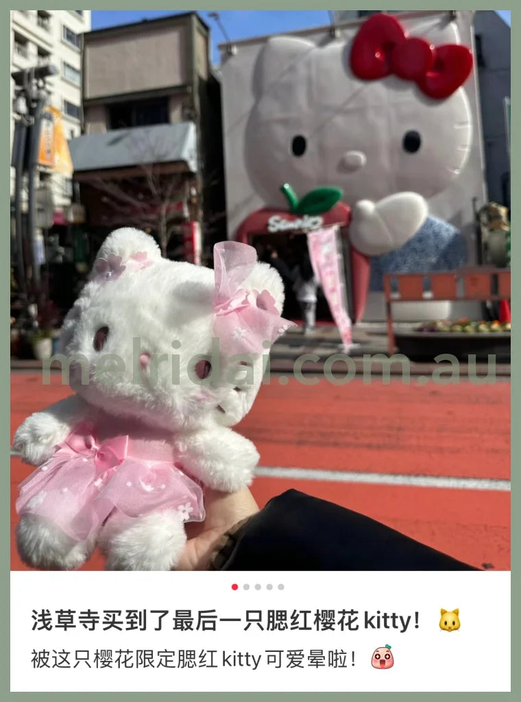Sanrio | Plush Doll 16.5×14.5×21.5Cm Approx (Sakura Series) 日本三丽鸥 毛绒玩偶/公仔 (樱花系列)