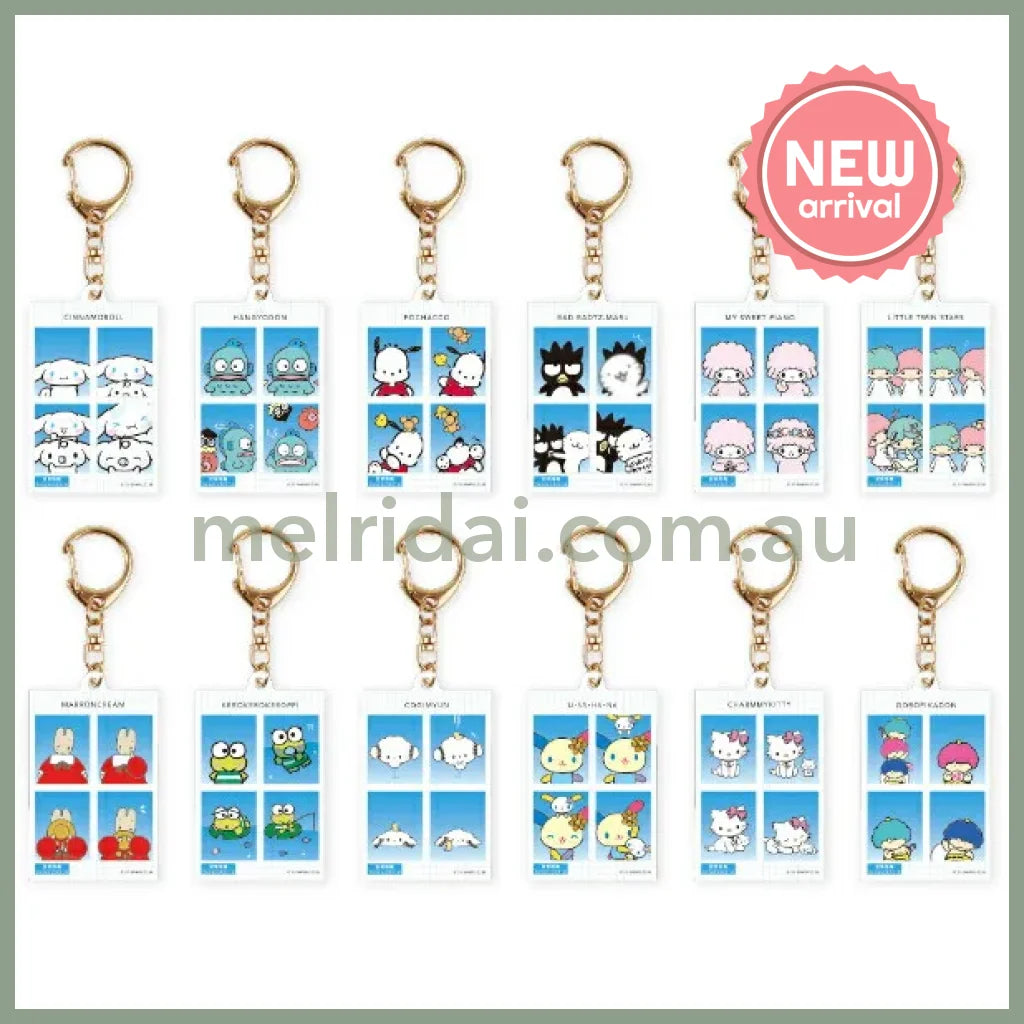 SANRIO | Secret Characters Trading Photo Style Acrylic Keychain Blind Box vol.2 H112 x W40 x D3mm