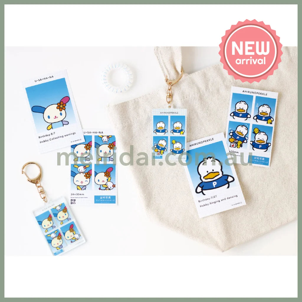 SANRIO | Secret Characters Trading Photo Style Acrylic Keychain Blind Box vol.2 H112 x W40 x D3mm