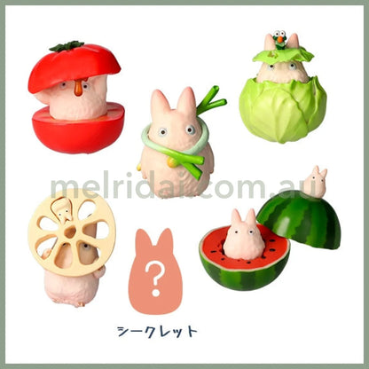 Studio Ghibli | My Neighbor Totoro Blind Box Vegetable Collection