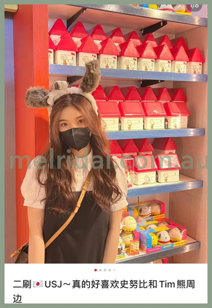 Usj | Peanuts Snoopy