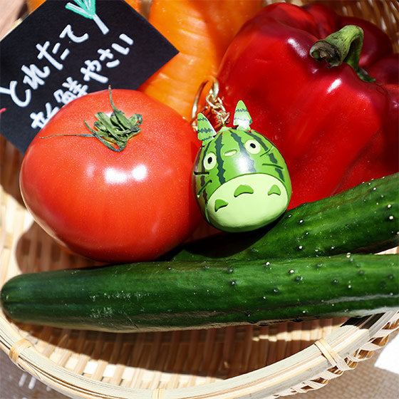 Studio Ghibli | My Neighbor Totoro Watermelon Keychain /