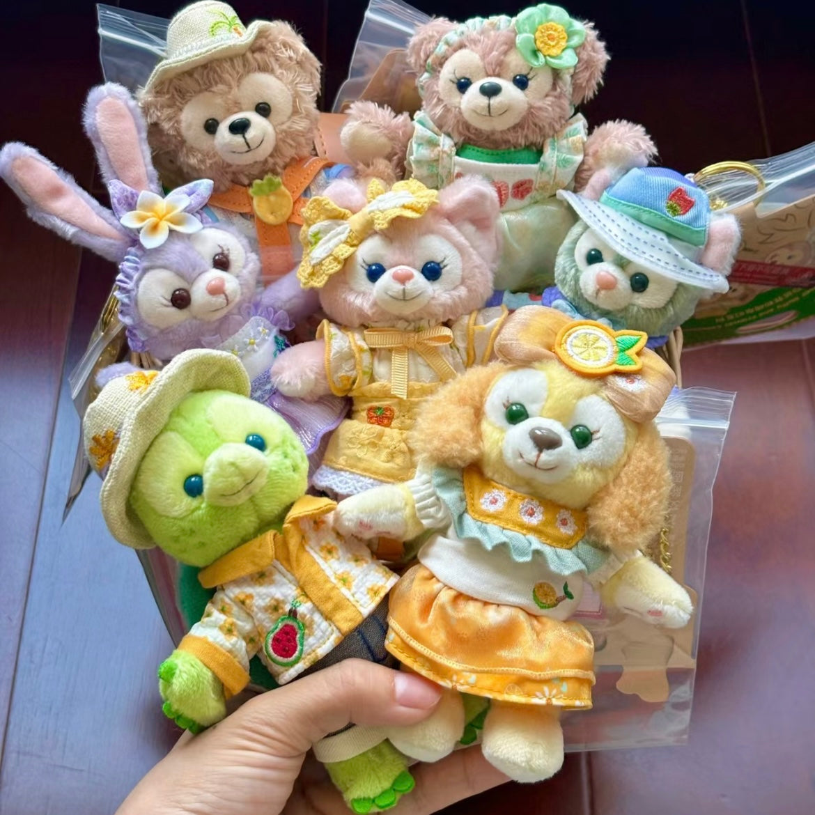 Disney | Shang Hai Disneyland Mascot Holder Plush Keychain (Duffy And Friends Summer Collection)