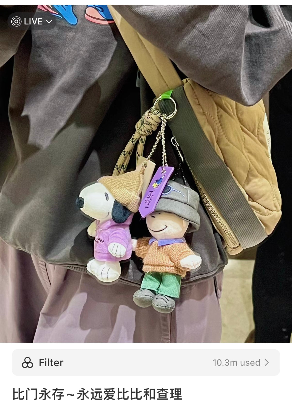 Usj | Peanuts Snoopy Charlie Brown With Sweater Mascot Holder Plush Keychain (Autumn)