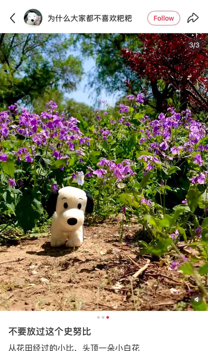 PEANUTS | Snoopy Plush Toy Plush Doll H18 x W8 x D21cm (First Snoopy)