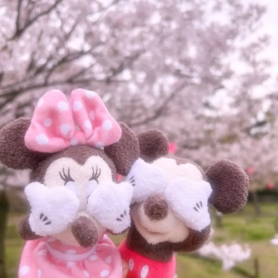 Disney | Fluffy Plush Doll Approx.32Cm (Hide And Seek?) 东京迪士尼 毛绒玩偶/公仔 手手有磁吸 卷毛腮红（躲猫猫/捉迷藏）