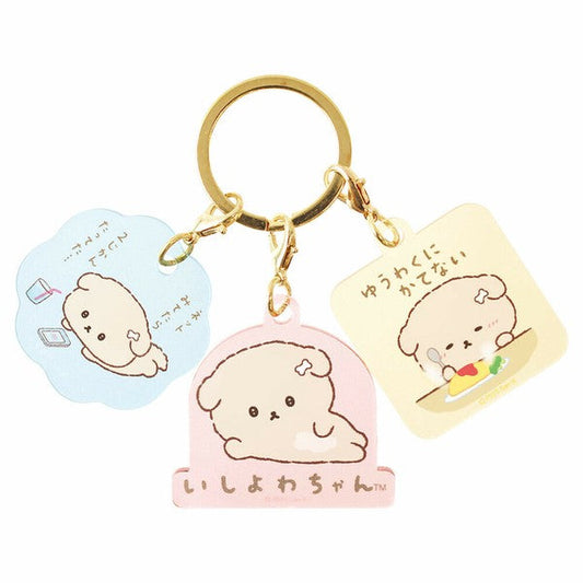 keyring set