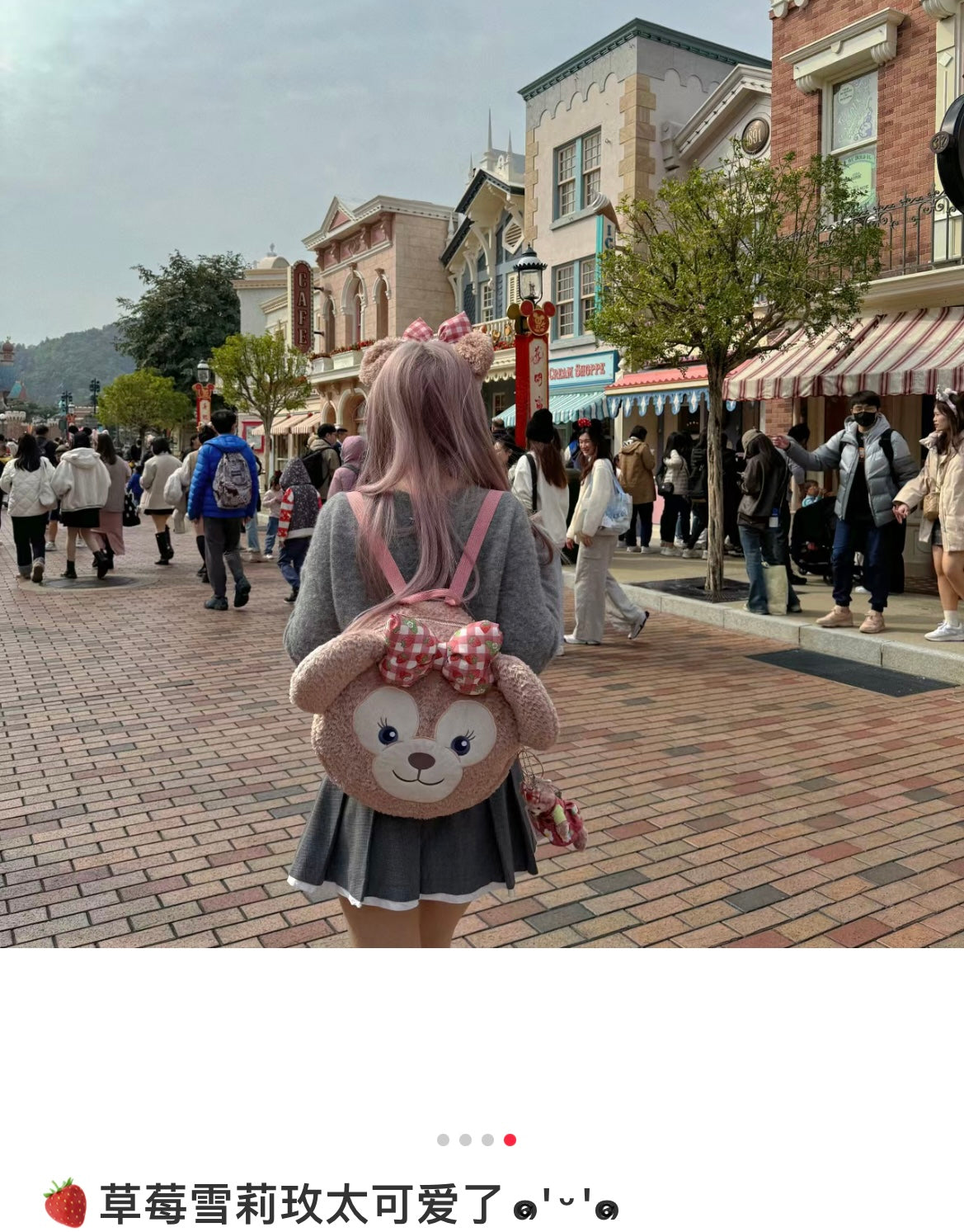 Disney | Tokyodisneysea Heartfelt Strawberry Gift Shelliemay Shoulder Bag & Blanket Set