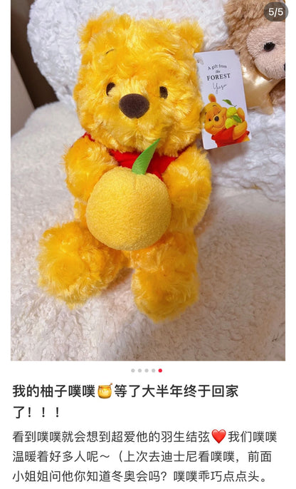 Disneywinnie The Pooh