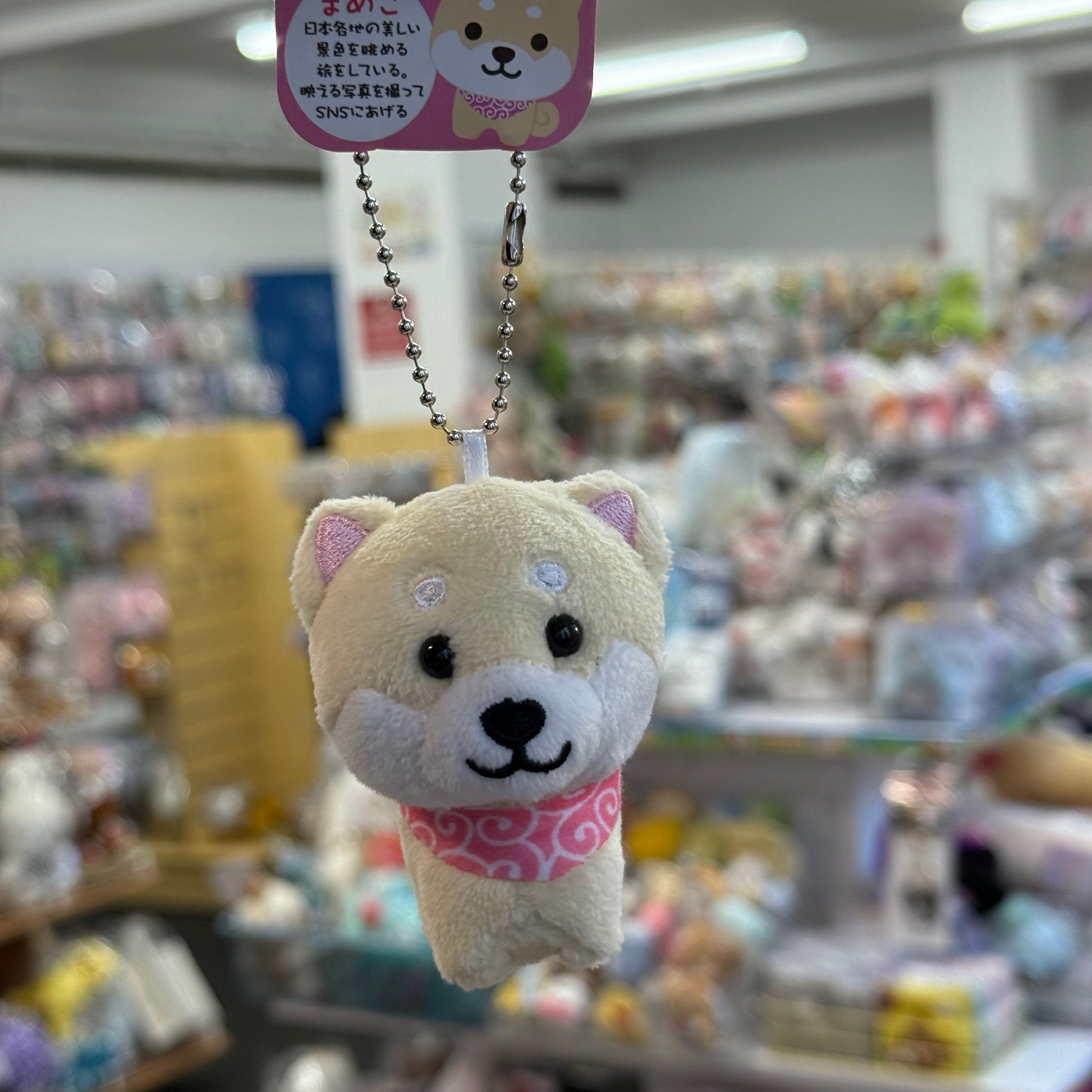 Traveling Mameshiba | Mameko Shiba Mascot Holder Keychain Keyring 7cm Approx. (Mameta)